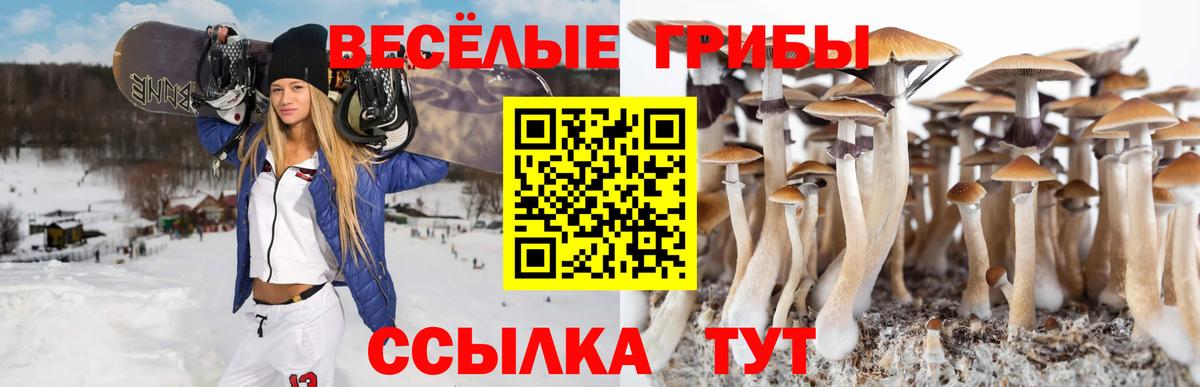 Волоколамск  Псилоцибиновые грибы ЛСД  Вход с VPN 